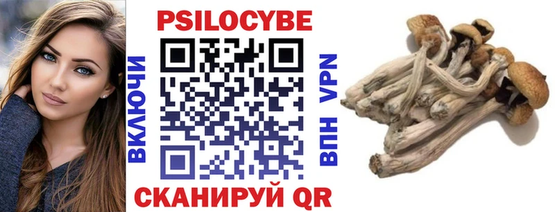 где найти наркотики  Инсар  Галлюциногенные грибы прущие грибы 